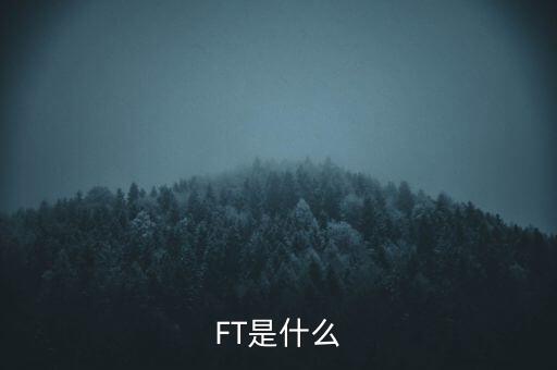 什么是FT調(diào)查，F(xiàn)T是什么