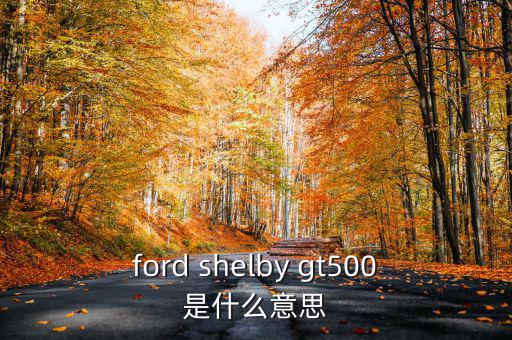 東盟油500是什么，ford shelby gt500是什么意思