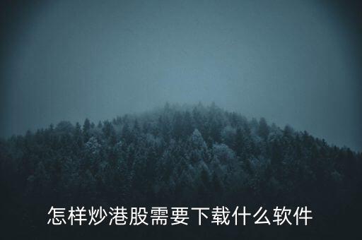 港股資金進(jìn)出用什么軟件，現(xiàn)在內(nèi)地的炒股滬港通用什么軟件