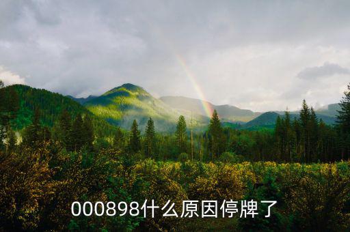 華資實(shí)業(yè)為什么停牌，000009今天為何停牌