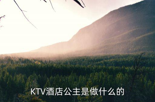 酒店出臺(tái)是干什么的，KTV酒店公主是做什么的