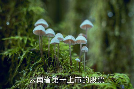 沃森生物是什么股，業(yè)績巨虧的沃森生物為什么股價(jià)那么高