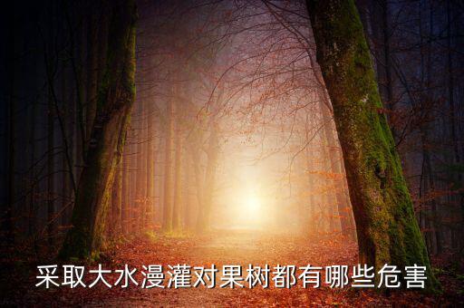 廣西地區(qū)大水漫灌導(dǎo)致什么，在干旱半干旱地區(qū)采取大水漫灌的灌溉方式可能會導(dǎo)致土地鹽漬化