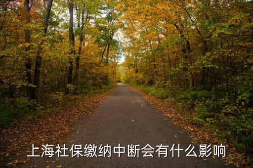 上海生育保險(xiǎn)中斷有什么影響，上海社保繳納中斷會(huì)有什么影響