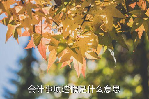 什么是財(cái)務(wù)造假，財(cái)務(wù)造假和利潤操縱是一個(gè)意思嗎