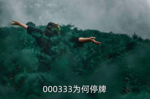 000333為什么停盤，000333為何停牌