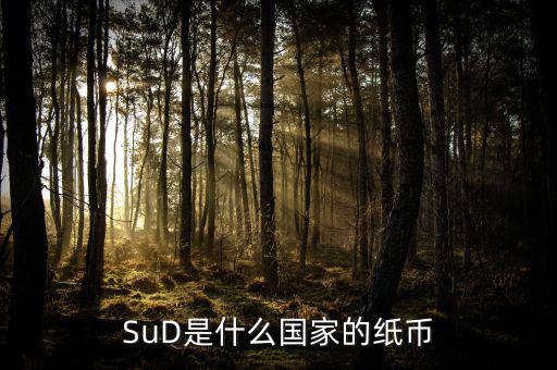 sud是什么貨幣，SUD是什么貨幣單位