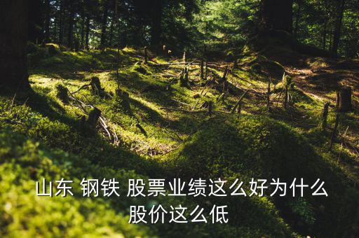  山東 鋼鐵 股票業(yè)績這么好為什么股價這么低