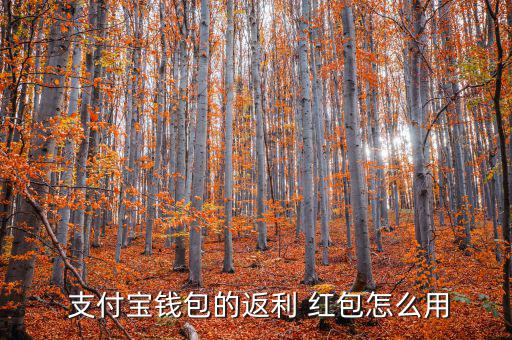  支付寶錢(qián)包的返利 紅包怎么用