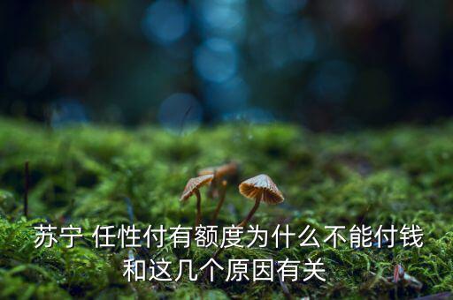  蘇寧 任性付有額度為什么不能付錢和這幾個原因有關(guān)