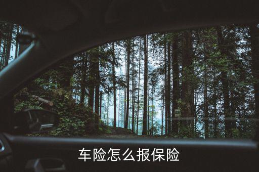 保險怎么報合適,汽車保險知多少?問與答（19）