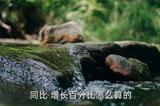  同比 增長(zhǎng)百分比怎么算的