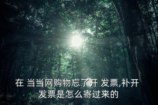 當(dāng)當(dāng)網(wǎng)怎么索要發(fā)票,當(dāng)當(dāng)網(wǎng)自助網(wǎng)上申請(qǐng)服務(wù)發(fā)票系統(tǒng)已上線