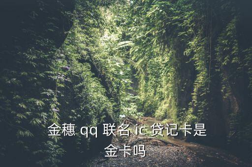 農行金穗qq聯(lián)名ic貸記卡怎么樣