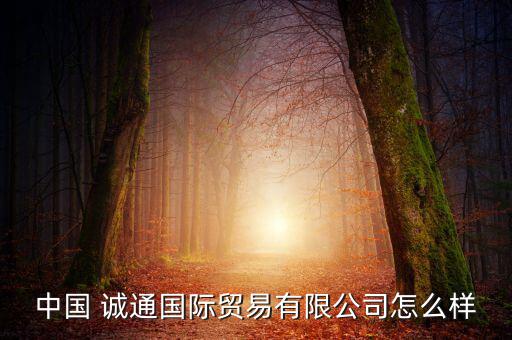 中國誠通怎么樣,中國誠通未授權(quán)任何實體以其名義經(jīng)營活動