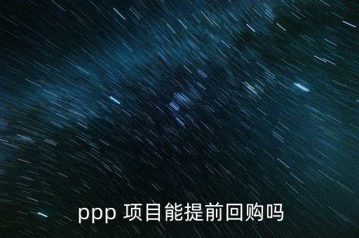 ppp項(xiàng)目怎么回款,回購(gòu)交易合同約定的項(xiàng)目是什么?