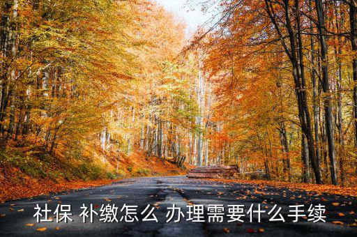 怎么辦理社保補(bǔ)繳,未辦理社會(huì)保險(xiǎn)登記的用戶(hù)可申請(qǐng)補(bǔ)繳社保