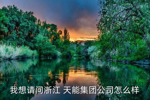 我想請(qǐng)問(wèn)浙江 天能集團(tuán)公司怎么樣