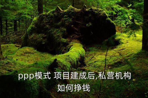  ppp模式 項目建成后,私營機構(gòu)如何掙錢