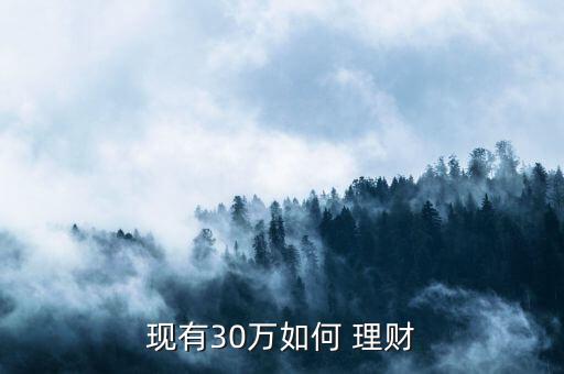 30萬怎么理財(cái)好,理財(cái)需要明確用途