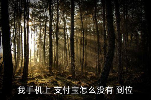 支付寶到位怎么沒發(fā)布,支付bao到位在哪里?