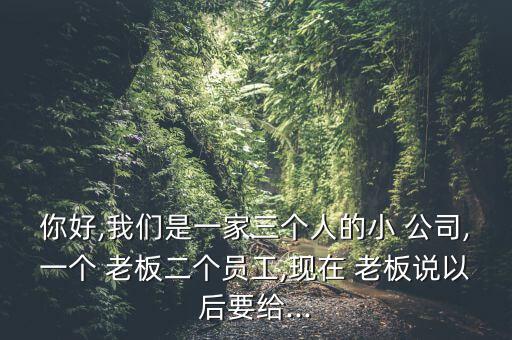 你好,我們是一家三個(gè)人的小 公司,一個(gè) 老板二個(gè)員工,現(xiàn)在 老板說以后要給...