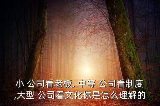 怎么算中等公司,關于發(fā)展和管理我們必須知道的事