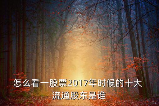 怎么看一股票2017年時(shí)候的十大 流通股東是誰