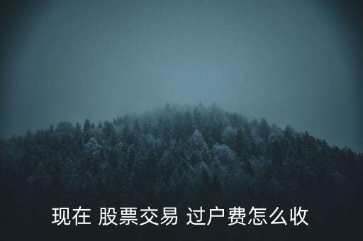 現(xiàn)在 股票交易 過戶費怎么收