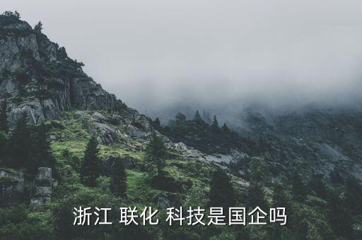 聯(lián)化科技怎么樣,聯(lián)化科技非國(guó)企公司法人王平