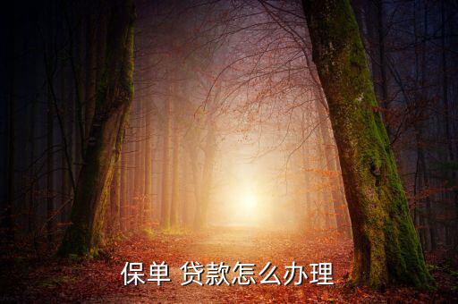 保險(xiǎn)單貸款怎么貸,保單貸款需要準(zhǔn)備什么資料?