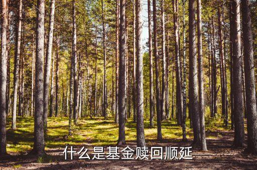 巨額贖回順延什么意思，什么是基金贖回順延