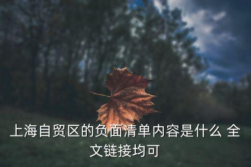 上海自貿(mào)區(qū)負面清單什么意思，上海自貿(mào)區(qū)負面清單制度的實施有哪些經(jīng)濟意義