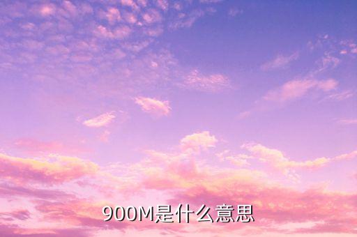 負(fù)債900m是什么意思，900m是什么意思