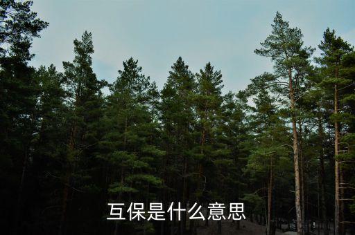 煤電互保什么意思，煤炭漲價(jià)對(duì)電力股是好是壞啊