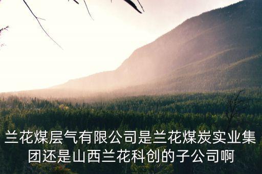 山西蘭花有什么煤層氣公司，山西蘭花煤炭實業(yè)集團有限公司