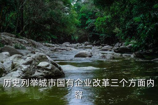 地方國(guó)企改革什么，國(guó)企改革到底要改什么東西啊簡(jiǎn)單點(diǎn)的回答就好