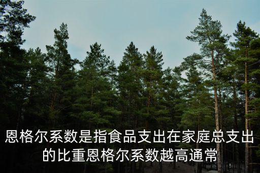 什么是恩格爾系數(shù)法，什么是恩戈爾系數(shù)