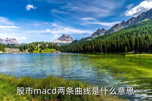 macd兩根曲線是什么意思，股市里MACD的兩條線是什么意思