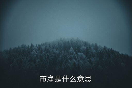 什么叫市凈率，什么是市凈率和市盈率