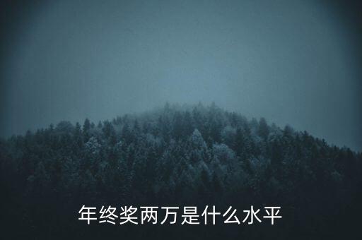 年終獎(jiǎng)10000什么水平，月薪1700年終獎(jiǎng)一萬算什么水平