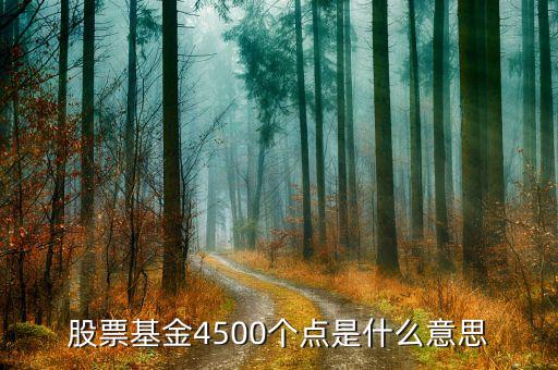 股票4500點(diǎn)是什么意思，4500點(diǎn)以下不減持是什么意思