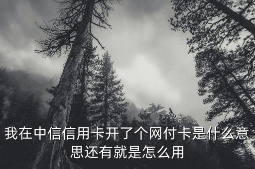 中信銀行網(wǎng)付卡是什么，中信銀行信用卡網(wǎng)付卡