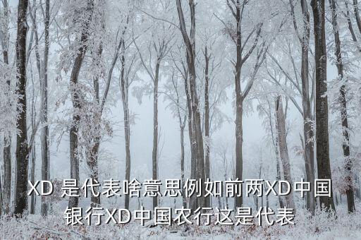 農(nóng)行中證代表什么，XD 是代表啥意思例如前兩XD中國(guó)銀行XD中國(guó)農(nóng)行這是代表