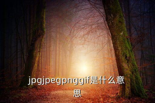 什么是代價比率，JPG文件會有病毒嗎