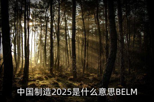 2025規(guī)劃是什么，中國制造2025是什么意思BELM