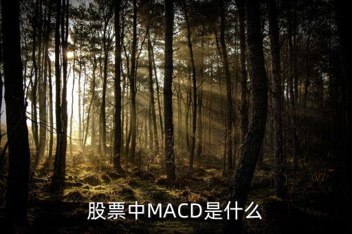 股市MACD線是什么意思，股票中MACD是什么意思