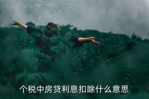 房貸利息抵扣個稅什么意思，個稅中房貸利息扣除什么意思