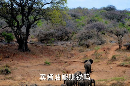 什么醬油油有利潤(rùn)嗎，做生產(chǎn)醬油賺錢(qián)不