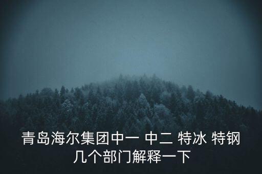 海爾內(nèi)銷是什么意思，有帶鎖的冰箱么冷藏冷凍功能都要有的謝謝